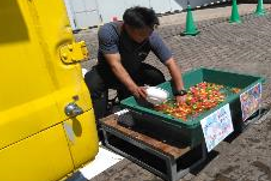 写真3